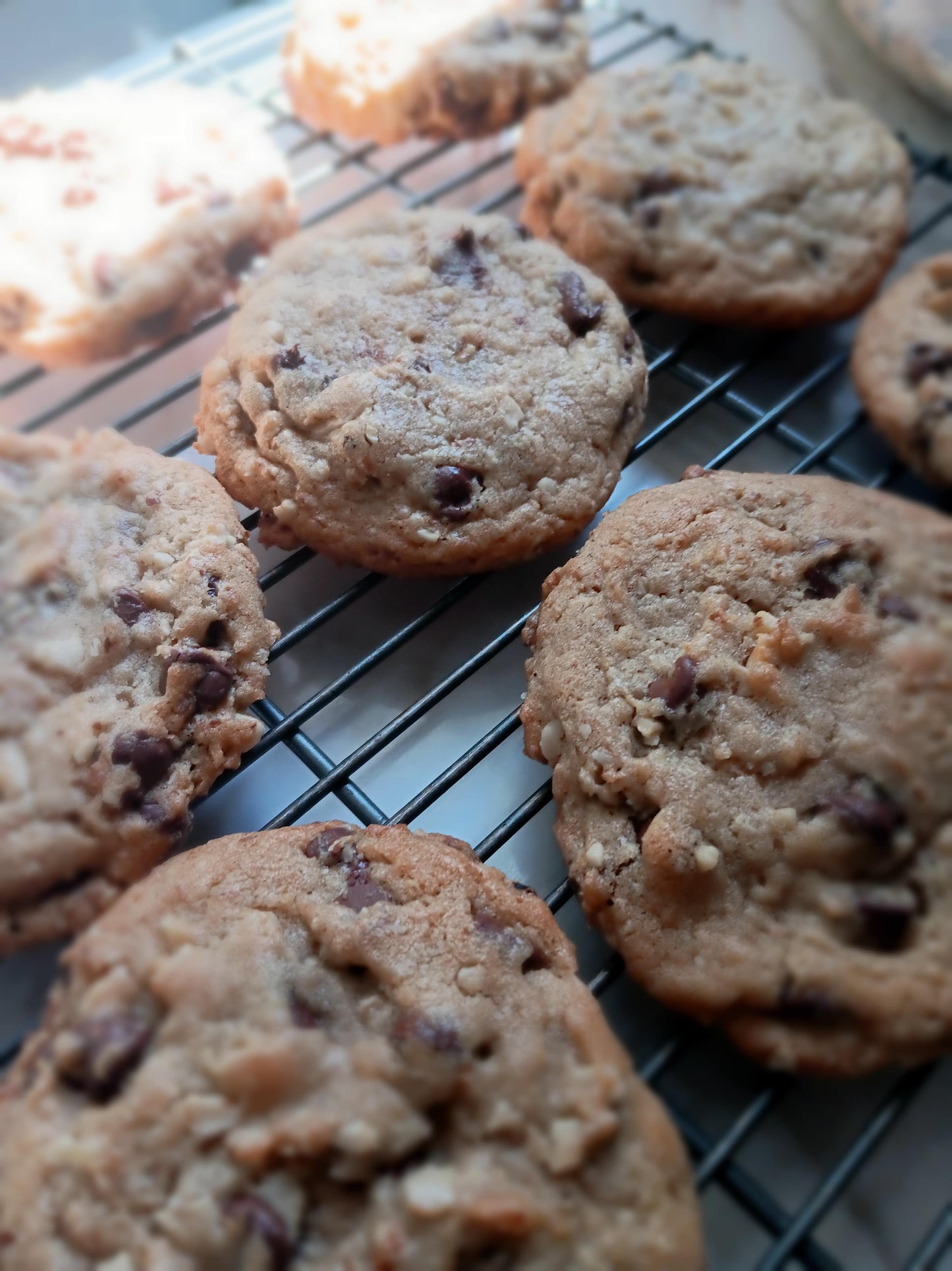 The Original Chocolate Chip Walnut Cookies